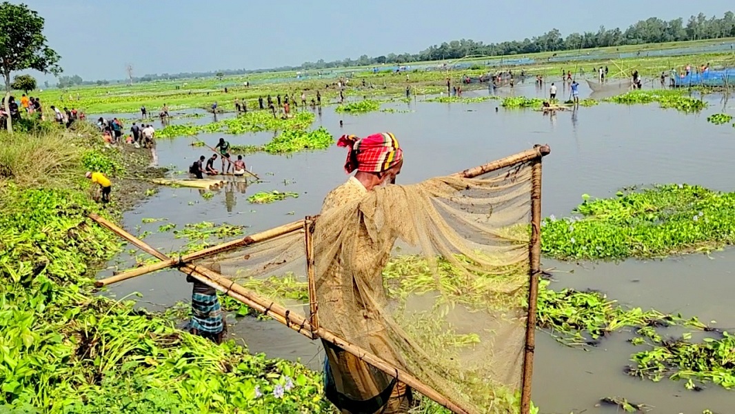 ছবি: আরটিভি