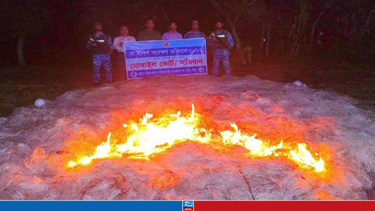হাইমচরে মা ইলিশ শিকারে বেপরোয়া জেলেরা