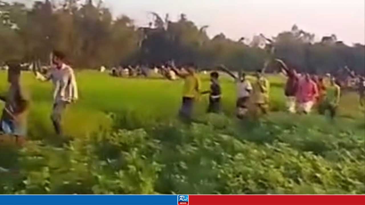 আমঝোল সীমান্তে ভারতীয় বাঘের আক্রমণ, নারীসহ আহত ৩