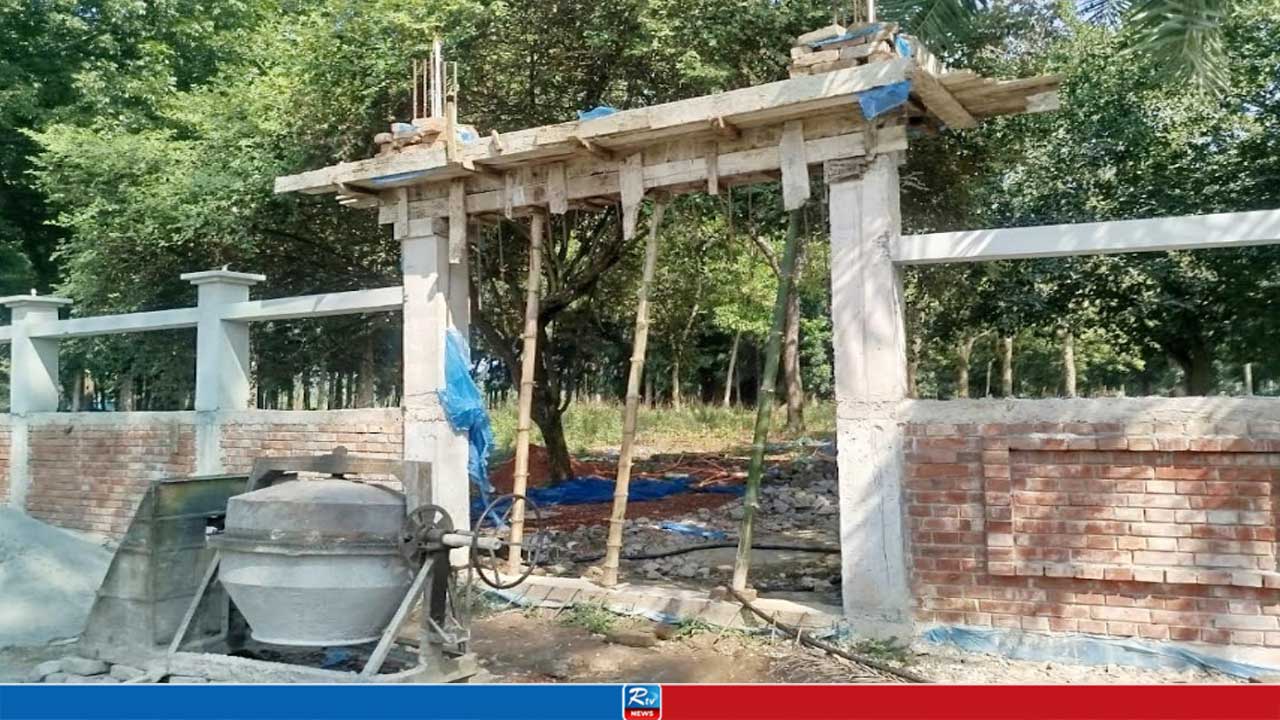 বৈদ্যুতিক তার চুরি করতে কবরস্থানে চোরের দল, অতঃপর...