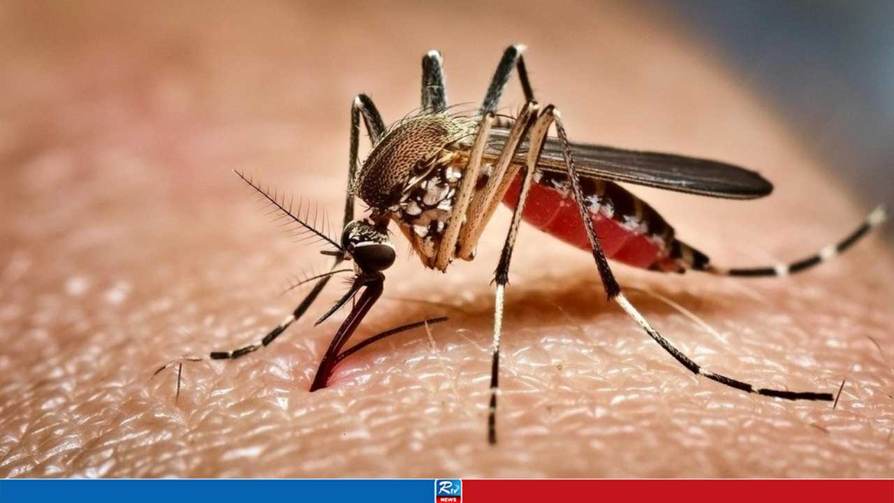 ডেঙ্গুতে আরও ৫ জনের মৃত্যু, হাসপাতালে নতুন ভর্তি ২২১৮
