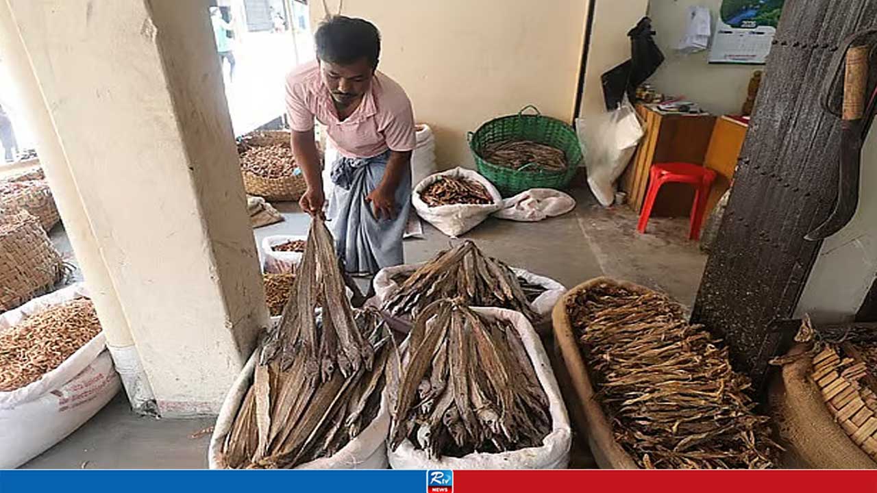 এবার শুঁটকিতে মিলল মাইক্রোপ্লাস্টিক, লইট্টা ও চিংড়িতে বেশি