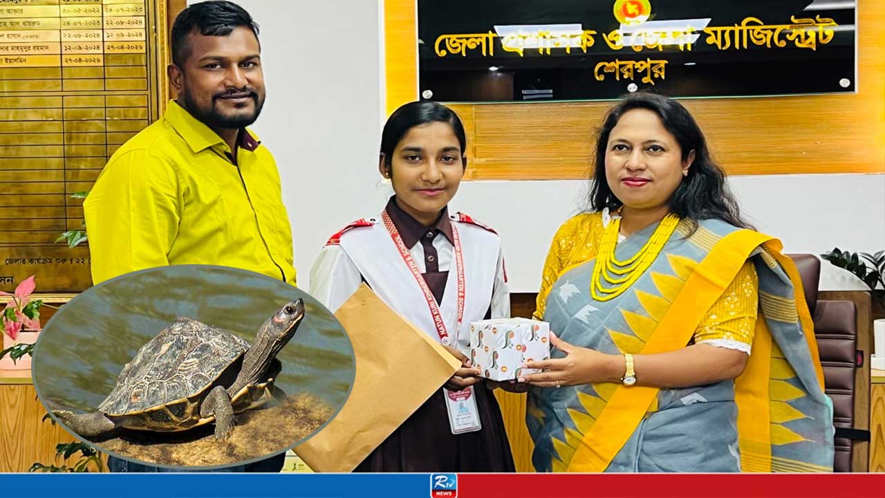কড়ি কাইট্টা উদ্ধার করে পুরস্কার পেল স্কুলছাত্রী রিশা