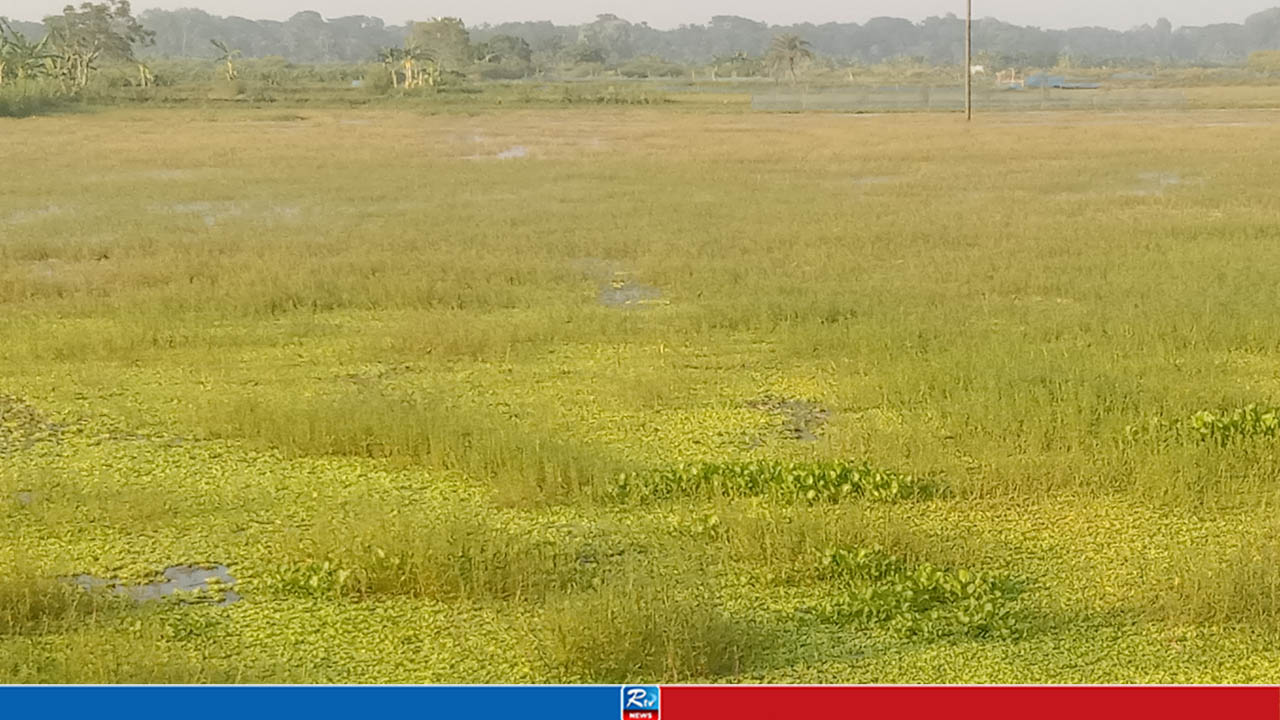 পানিতে ডুবে আছে ১২ হাজার হেক্টর আবাদি জমি, বিপাকে সাতক্ষীরার ২৫ থেকে ৩০ হাজার কৃষক
