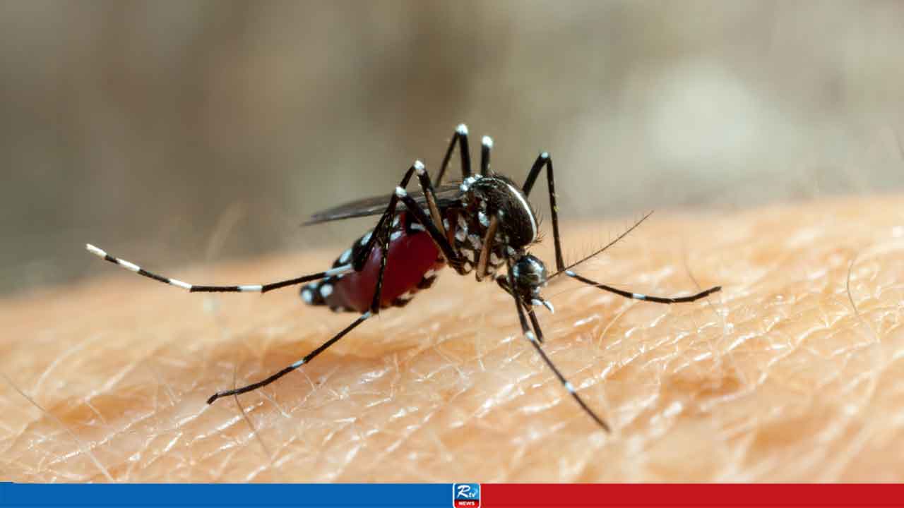 এবার একদিনে ৯ প্রাণ কেড়ে নিলো ডেঙ্গু
