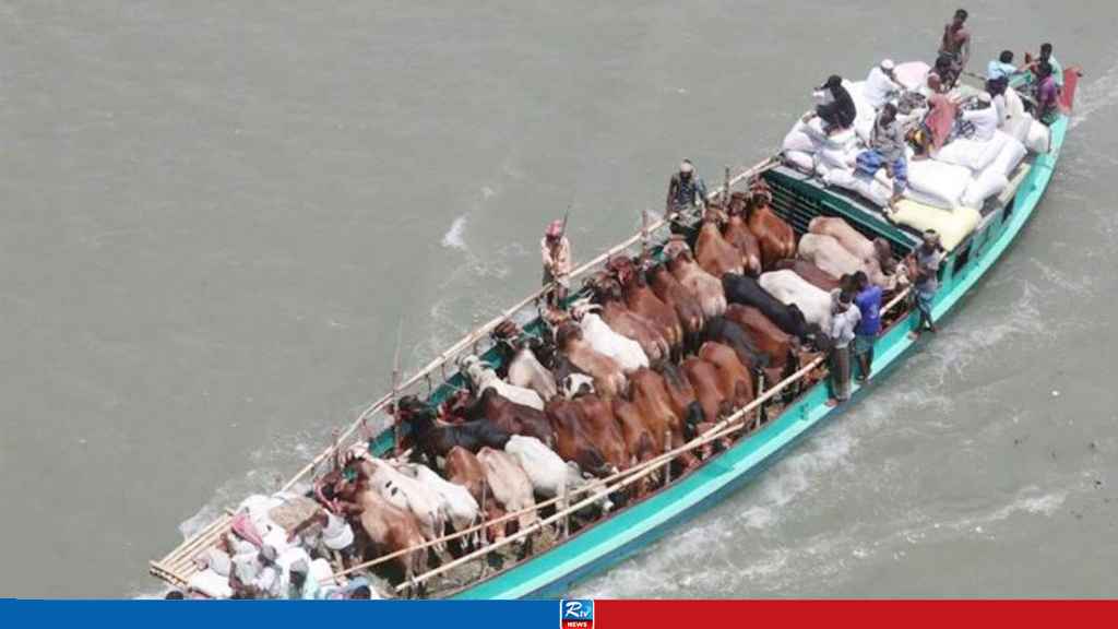 পদ্মায় গরুবোঝাই ট্রলারডুবিতে নিখোঁজ ব্যবসায়ীর মরদেহ উদ্ধার