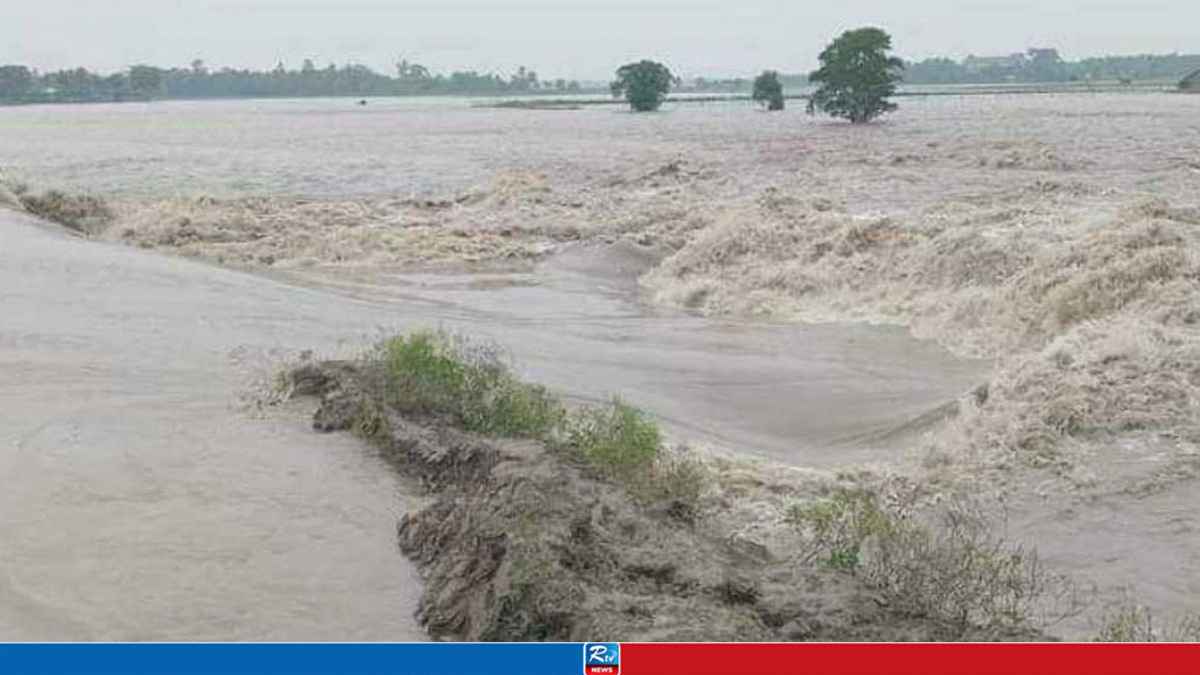 5 Rivers Flow above Danger Mark amid Incessant Rains: FFWC