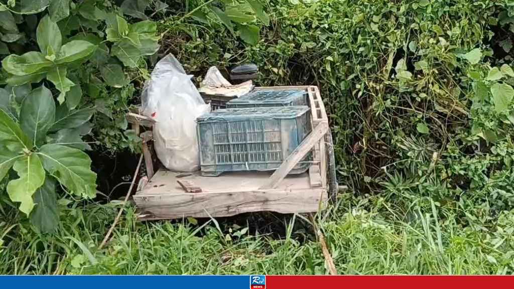 কাভার্ডভ্যানের ধাক্কায় ফল ব্যবসায়ীর মৃত্যু