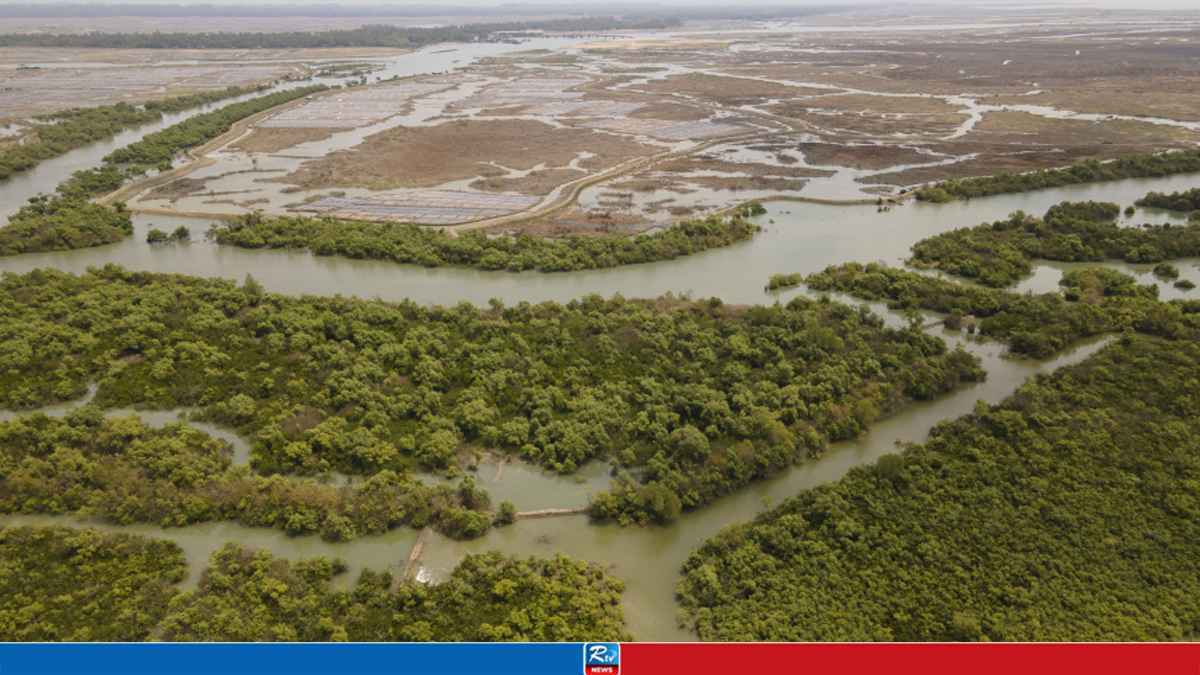 World Nature Conservation Day Observed Today