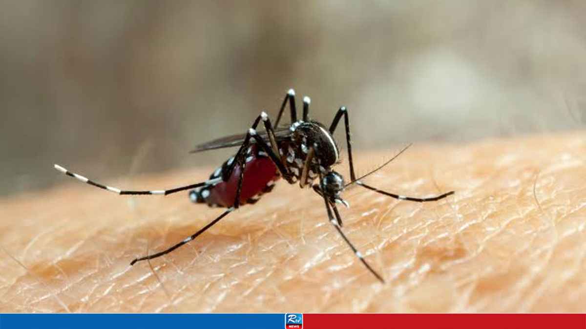 ডেঙ্গুতে এবার একদিনে ৫ জনের প্রাণহানি