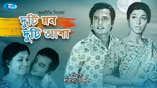 দুটি মন দুটি আশা