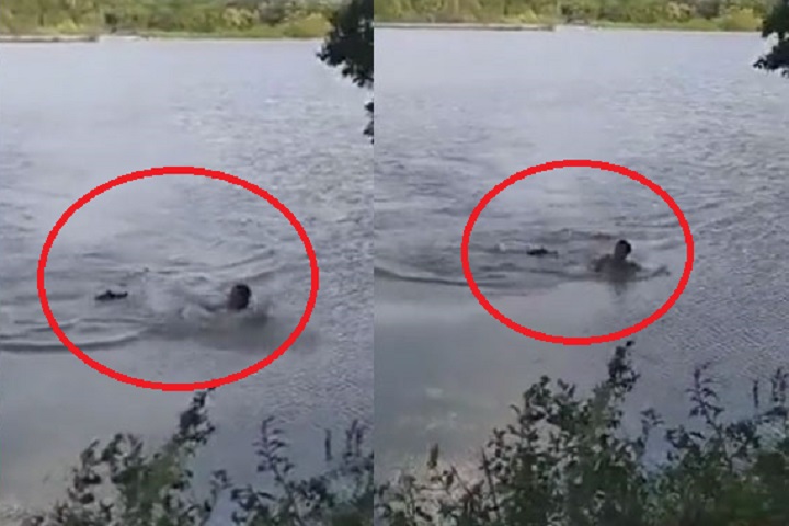 মাঝহ্রদে যুবকের ওপর ঝাঁপিয়ে পড়লো কুমির (ভিডিও)
