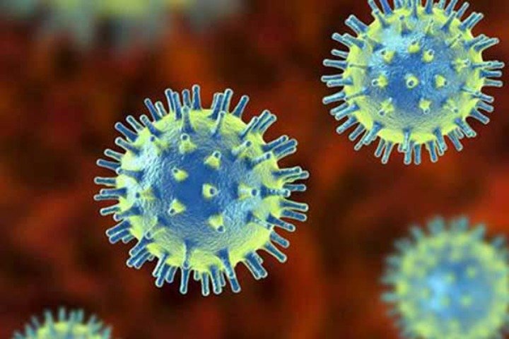 Bangladesh reports 512 fresh cases, two deaths from Covid-19