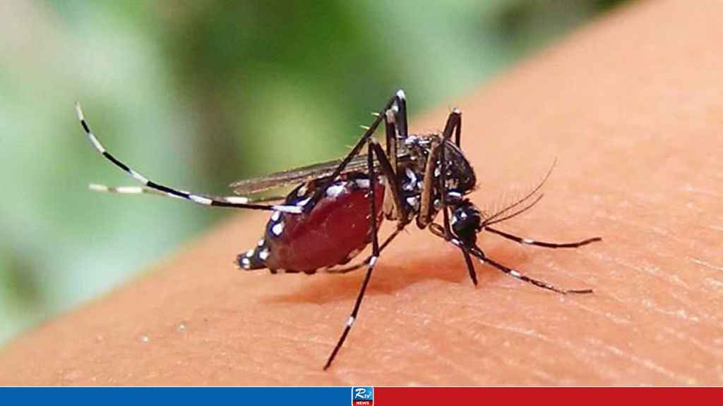 ডেঙ্গুতে আজও দুই জনের মৃত্যু, হাসপাতালে ১৯৪