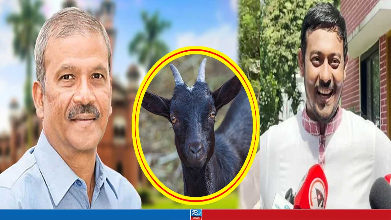 আসিফ নজরুলের দুইটা ছাগলই খাওয়া উচিত ছিল: নাসীরুদ্দীন পাটওয়ারী