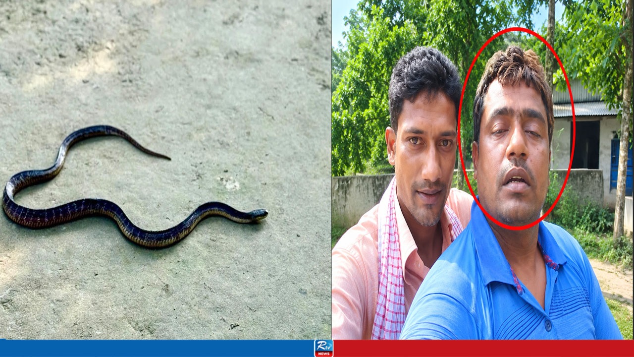 সাপের দংশনে ছোট ওঝা: বাবা ওঝার ঝাড়ফুঁক, অতঃপর...
