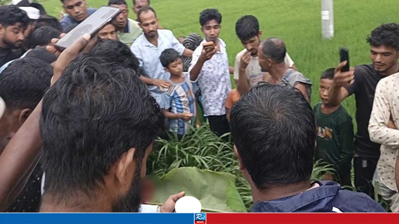 নীলফামারীতে সড়ক দুর্ঘটনায় স্বামী-স্ত্রীসহ তিনজন নিহত