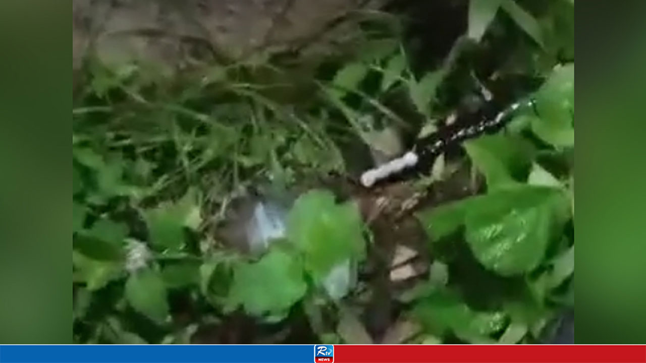 আগারগাঁও থেকে দুইটি পেট্রোল বোমা উদ্ধার