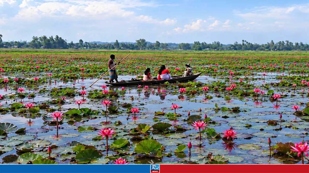জামালপুরের কুঁড়ি বিল যেন অন্য এক পৃথিবী