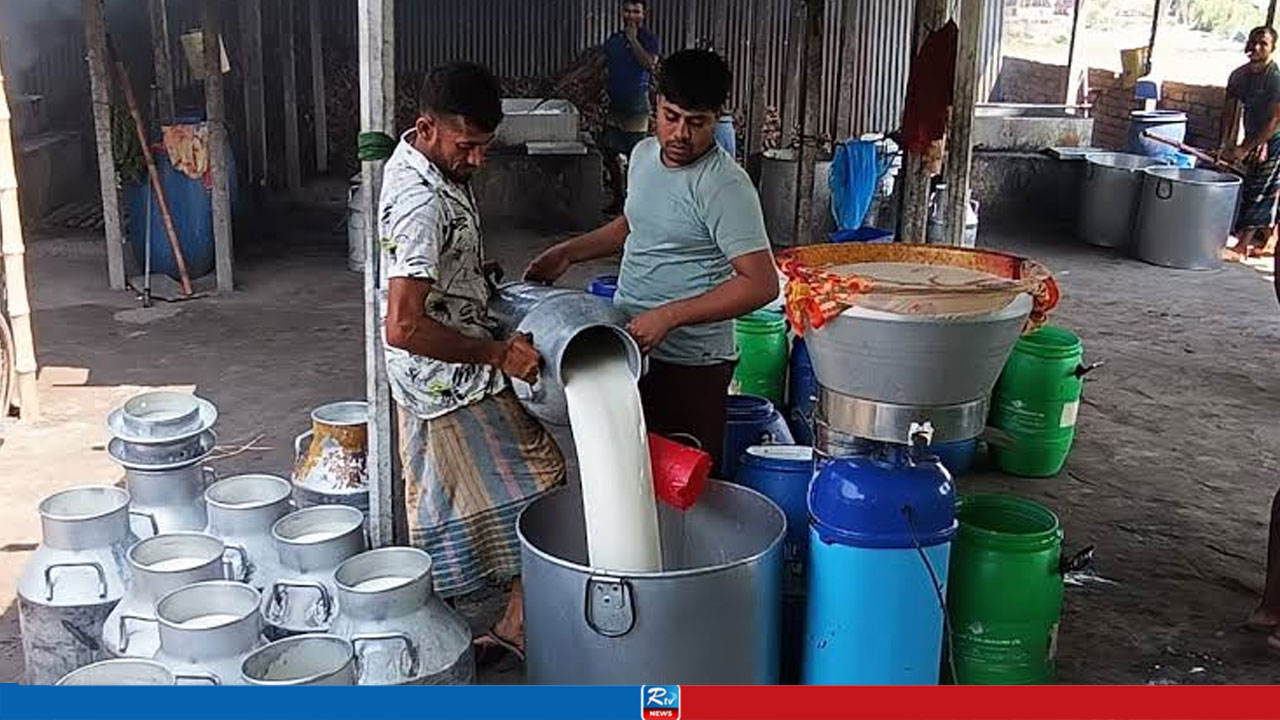 লিটারে ১০ টাকা বেড়েছে মিল্কভিটা দুধের দাম, নেপথ্যে যে কারণ