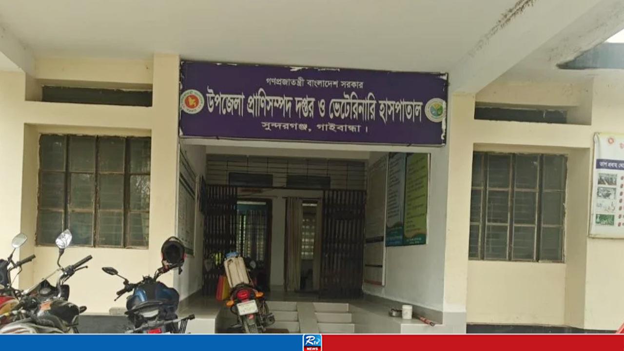 ৯ জনকে কামড়ানো সেই শিয়ালের মাথা পাঠানো হলো গবেষণাগারে