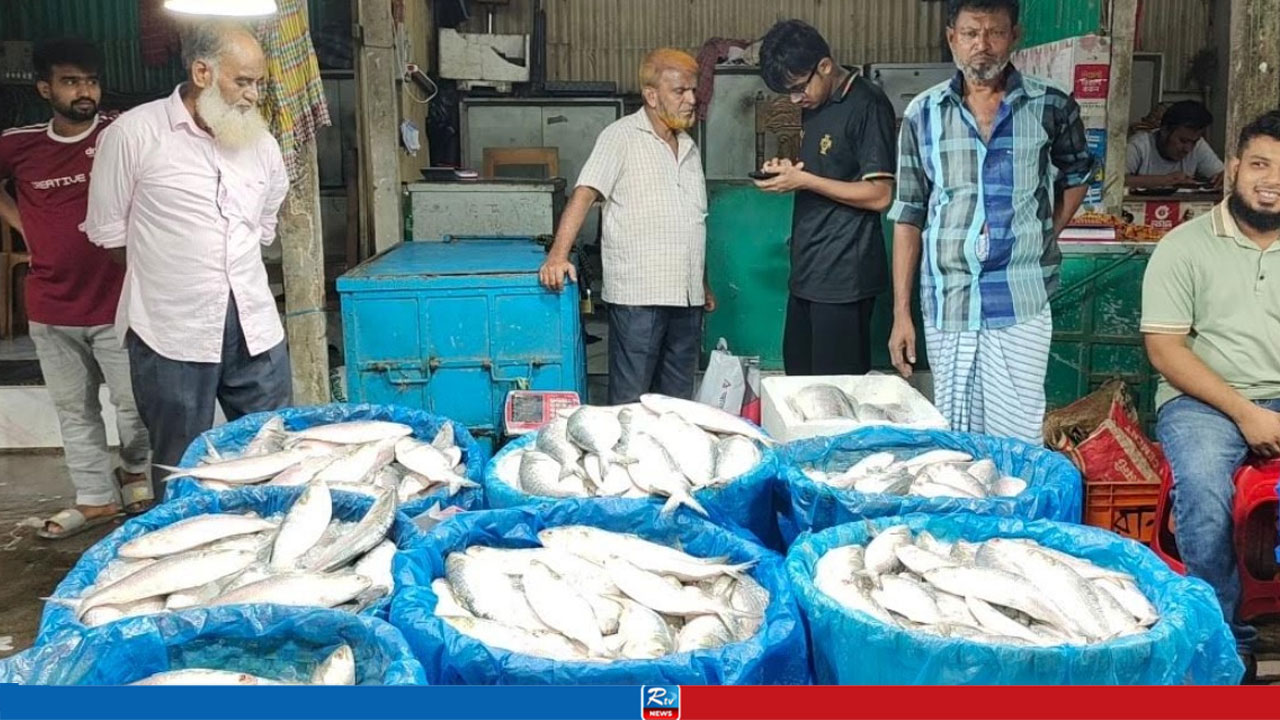 চাঁদপুরে তিন মণ আলুর দামে এক কেজি ইলিশ
