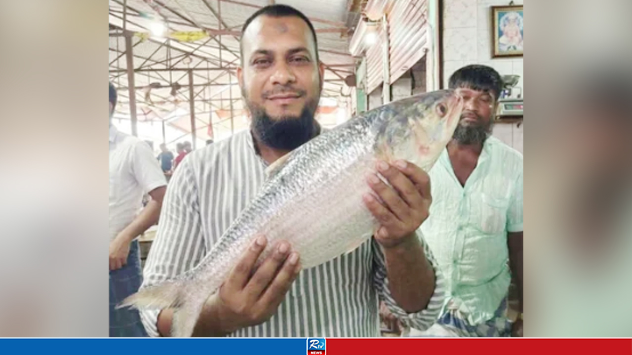 হাতিয়ায় সাড়ে ৩ কেজির ইলিশ ১০ হাজার ৯০০ টাকায় বিক্রি