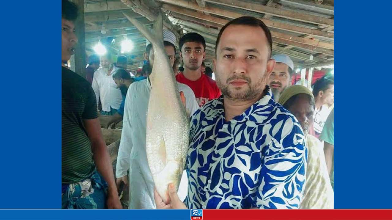 হাত বদলে ১৩ হাজার টাকার ইলিশের দাম যত দাঁড়ায়