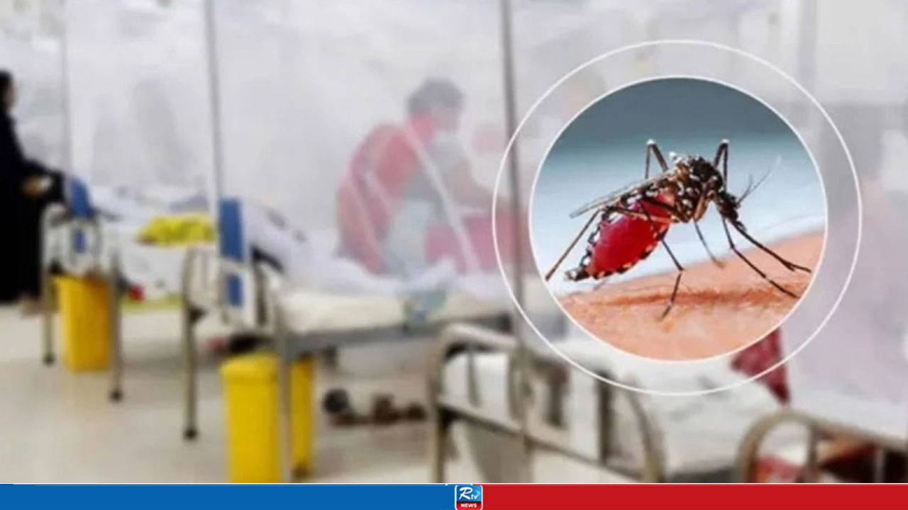 Dengue Toll Hits 214 as 3 More Succumb, Nationwide Cases Cross 71000