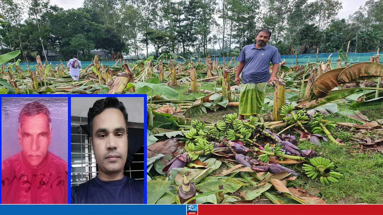 রাতের আধারে কৃষকের ‘সর্বনাশ’ করলেন কৃষক লীগ নেতা