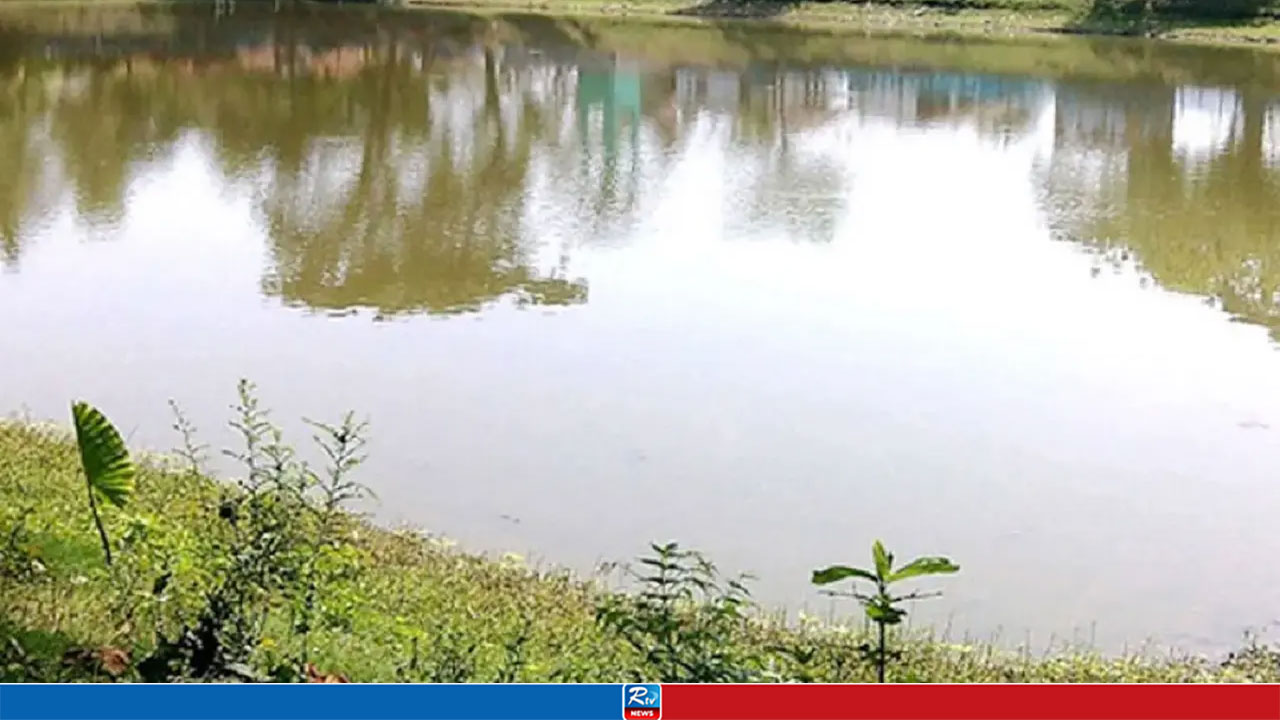 পুকুরপাড়ে খেলতে গিয়ে পানিতে পড়ে দুই শিশুর মৃত্যু
