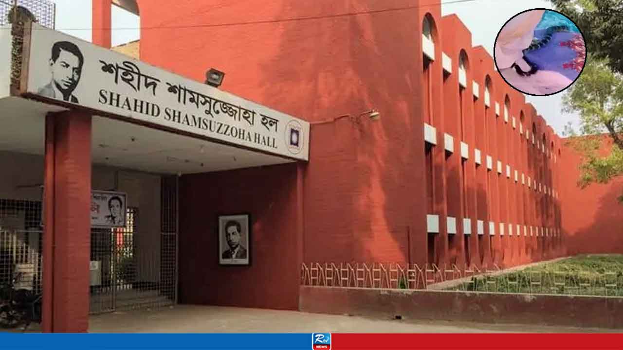 ঘুমের মধ্যেই রাবি শিক্ষার্থীকে সাপের ছোবল, অতঃপর...