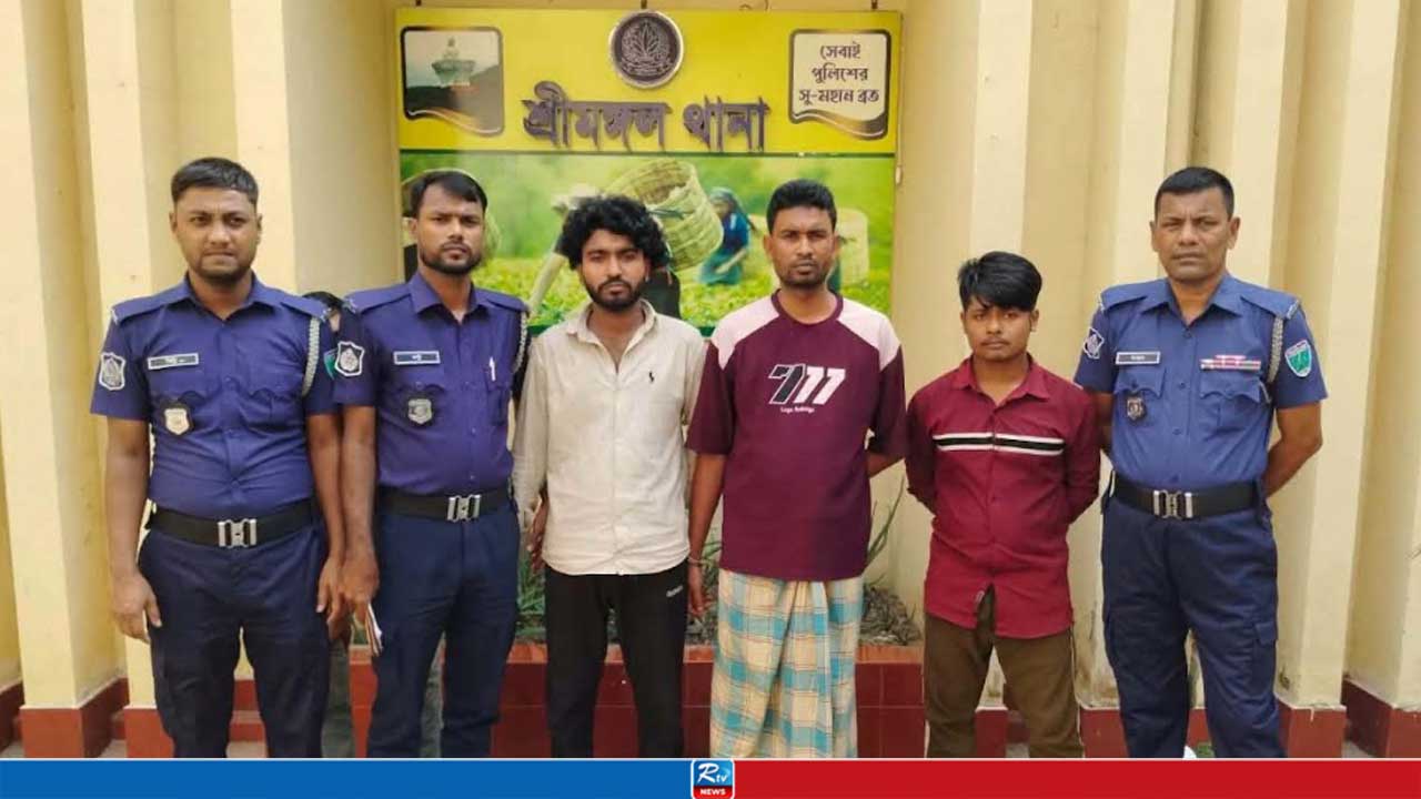 রাস্তা থেকে তুলে কিশোরীকে নিয়ে ভাড়া বাসায় ৩ যুবক, অতঃপর...