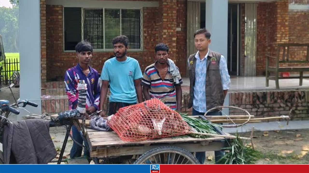 বক শিকার করে ‘বড় খেসারত’ দিলেন দুই যুবক