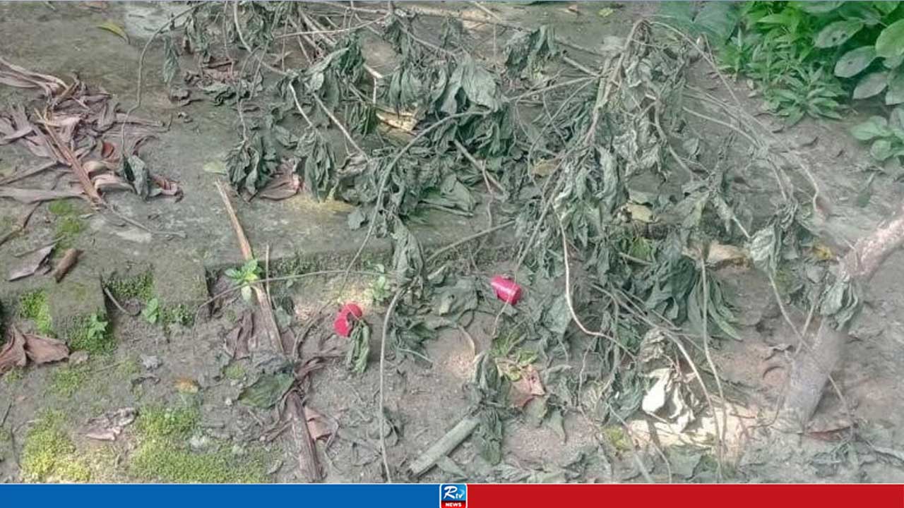 চাঁপাইনবাবগঞ্জে ককটেল বিস্ফোরণ, উদ্ধার ১১টি