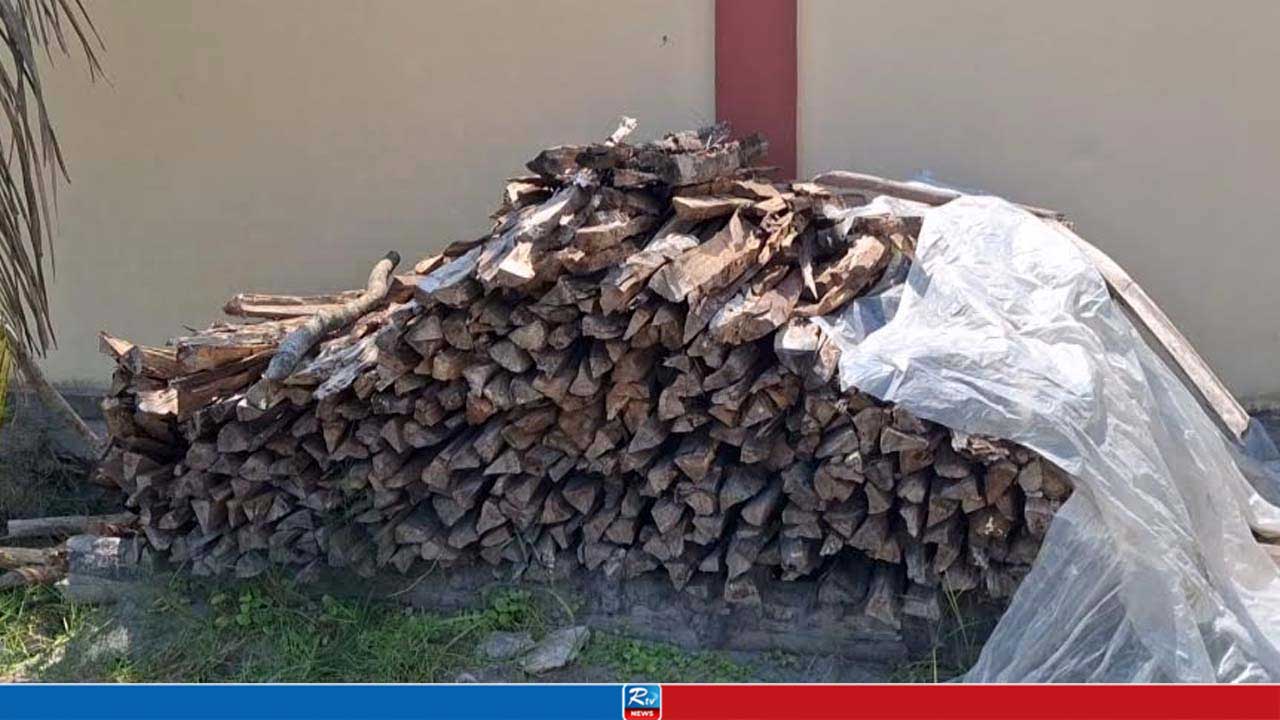 বিট কার্যালয়ের রান্নাঘরে মিলল সংরক্ষিত বনের গাছ, সাংবাদিকদের ম্যানেজ করার চেষ্টা