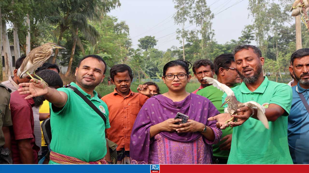 চলনবিলে অভিযান চালিয়ে অর্ধশতাধিক বক উদ্ধার, তিন শিকারির জেল-জরিমানা