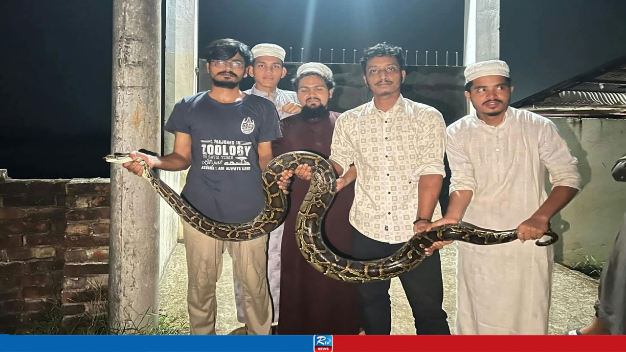 চট্টগ্রাম বিশ্ববিদ্যালয়ে ১৪ ফুটের বার্মিজ অজগর উদ্ধার