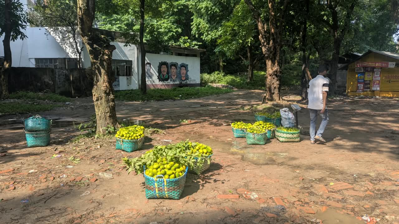 ছবি: আরটিভি