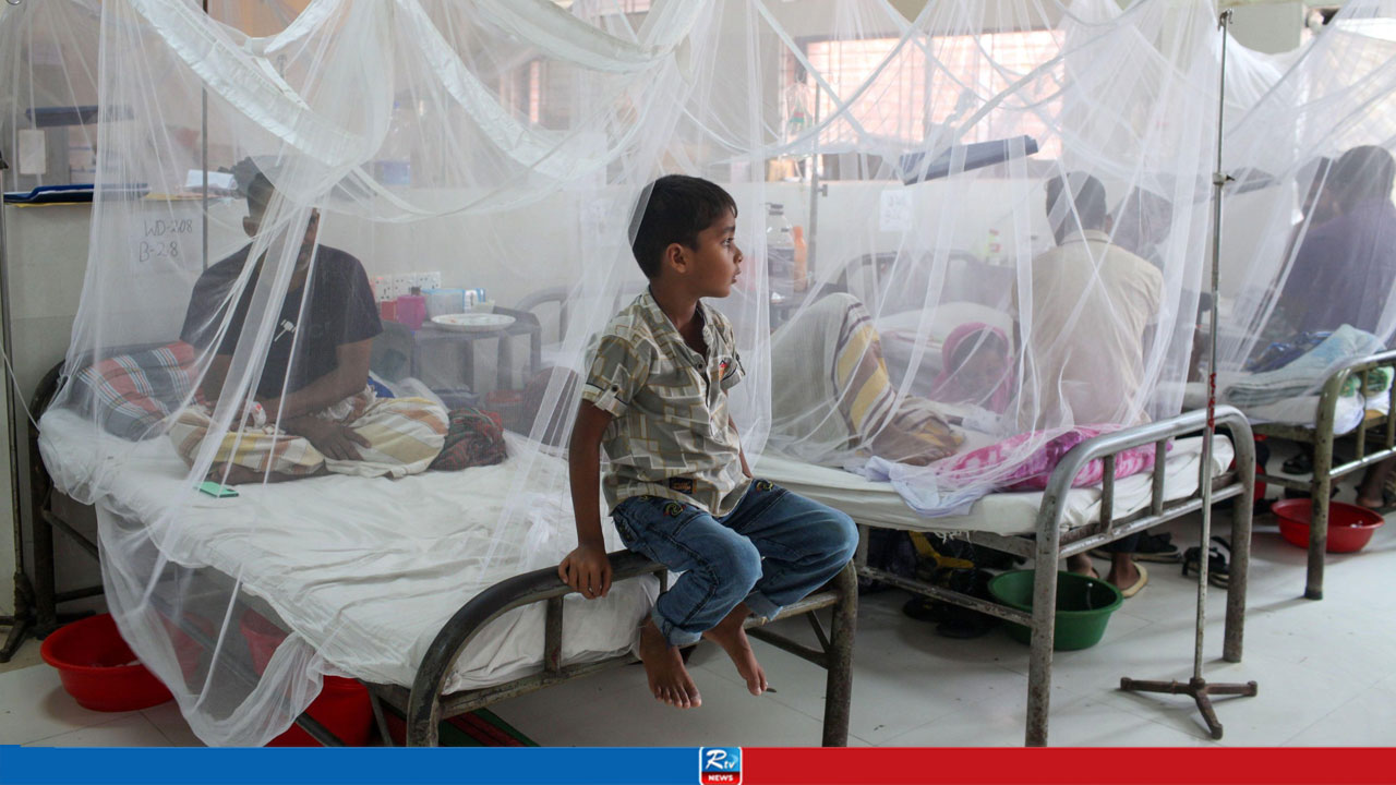 Dengue Death Toll Rises to 262 as 6 More Die, 2089 Hospitalized