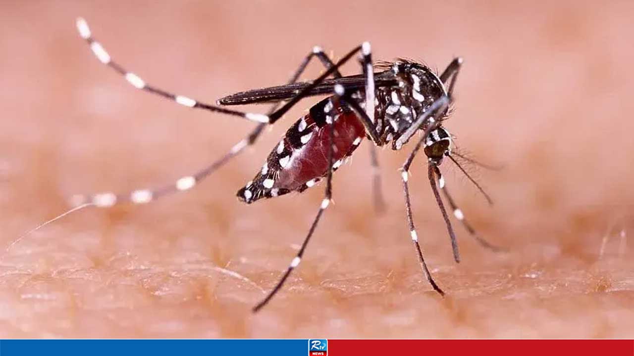 একদিনেই ডেঙ্গুতে প্রাণ গেল আরও ১০ জনের
