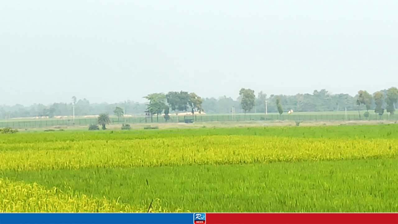 বিজিবির বাধায় বিএসএফের চারজনকে পুশইন চেষ্টা ব্যর্থ