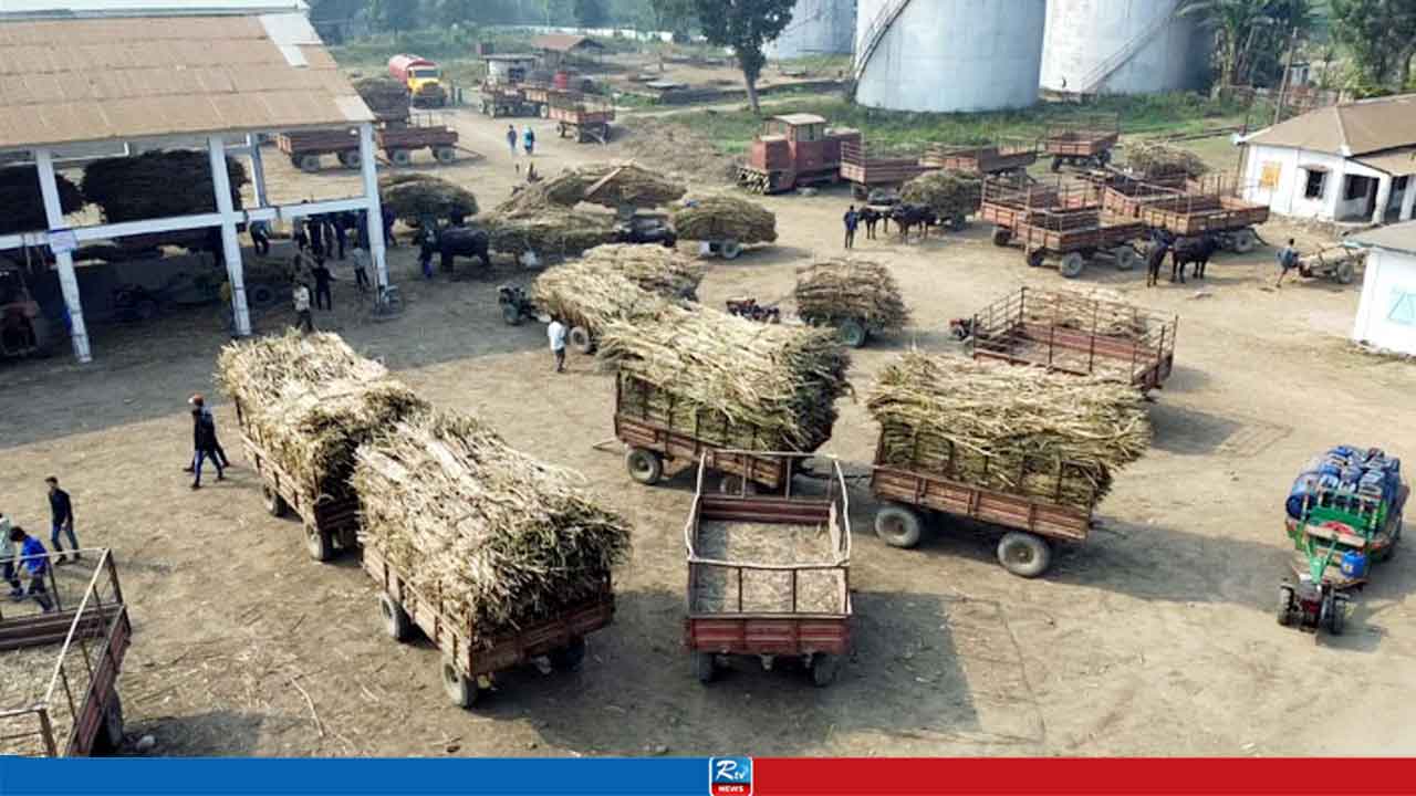 চিনি কলগুলোকে লাভজনক প্রতিষ্ঠানে পরিণত করার নির্দেশনা