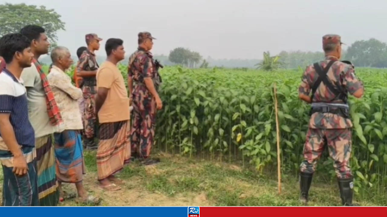 সীমান্তে ৬ জনকে পুশইনের চেষ্টা বিএসএফের, রুখে দিলো বিজিবি