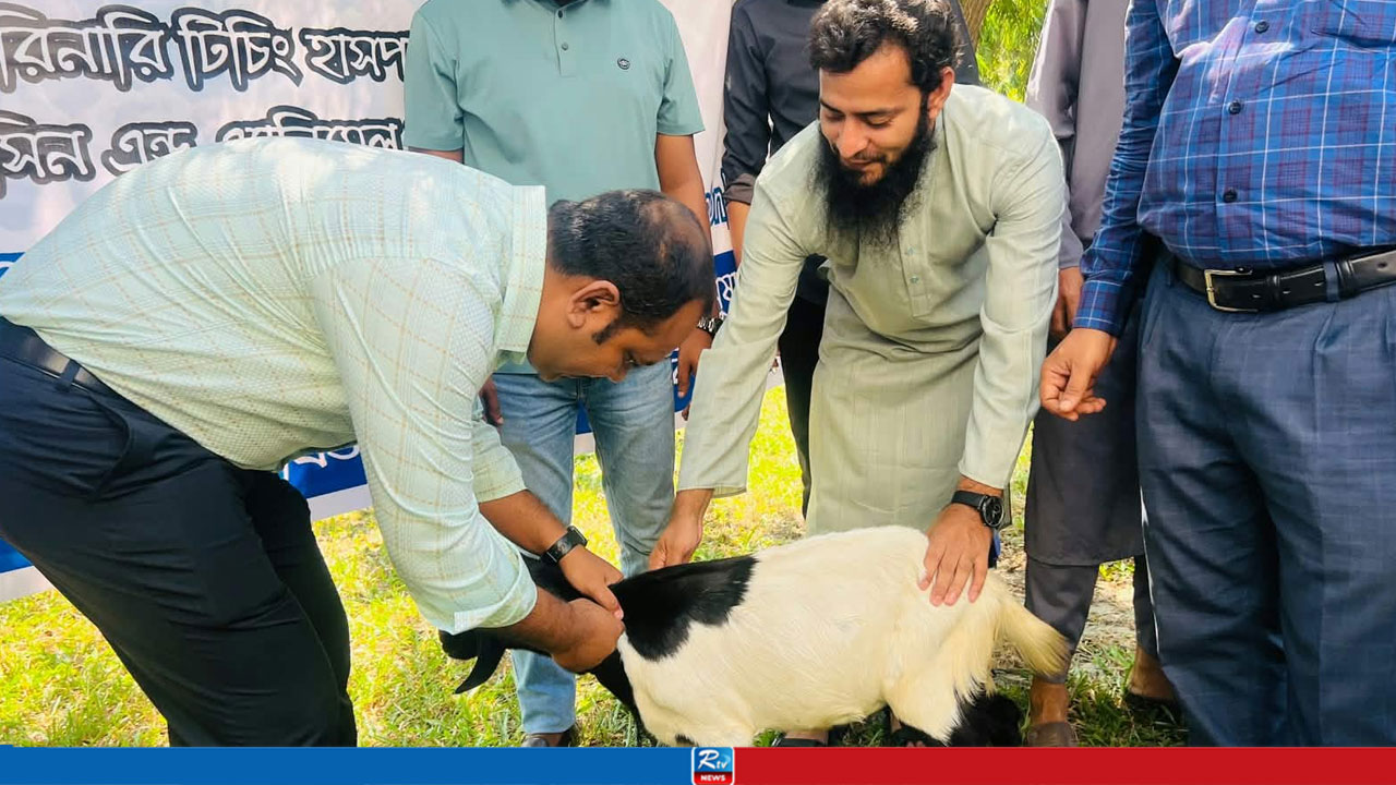 মাভাবিপ্রবিতে ভেটেরিনারি মেডিকেল ক্যাম্পে বিনামূল্যে ৩০০ পশুর চিকিৎসা