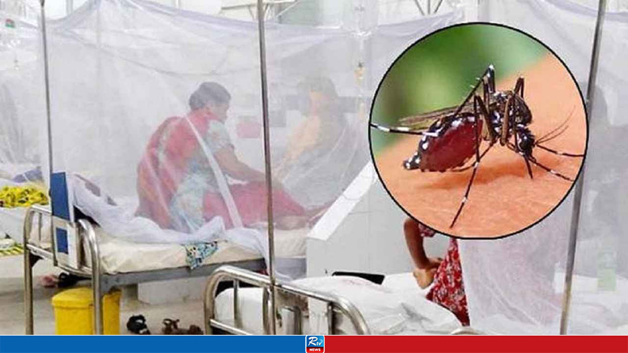 একদিনে ডেঙ্গুতে আরও ৪ জনের মৃত্যু, হাসপাতালে ভর্তি ১১৮১