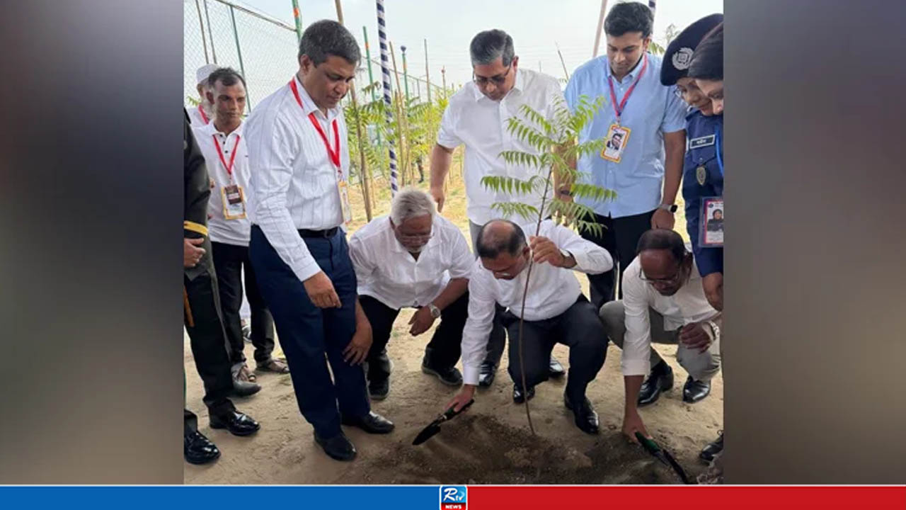 নিজ হাতে চারা রোপণ করে ‘সবুজায়ন কর্মসূচির’ উদ্বোধন করলেন প্রধানমন্ত্রী