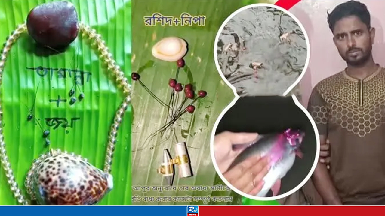 টিকটকে তান্ত্রিক সেজে প্রতারণা, বিপাকে নারী