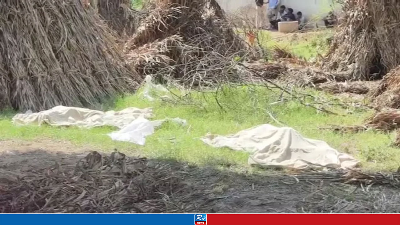 বিয়েতে অস্বীকৃতি প্রেমিকের, দুই সন্তানের গলা কেটে হত্যার অভিযোগে গ্রেপ্তার মা