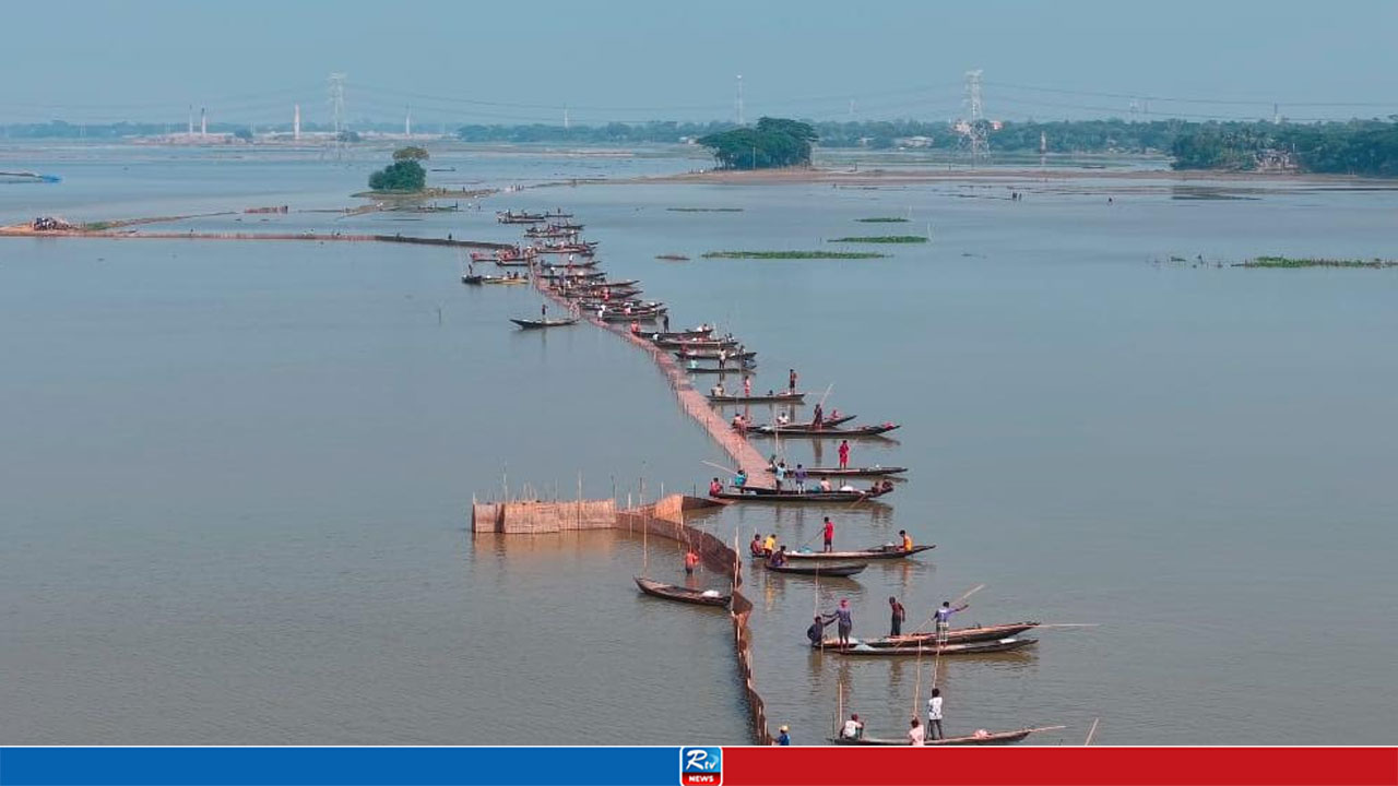 ইজারার বিলে মাছ ধরতে নামল শত শত নৌকা, আর্থিক ক্ষতির মুখে চাষী
